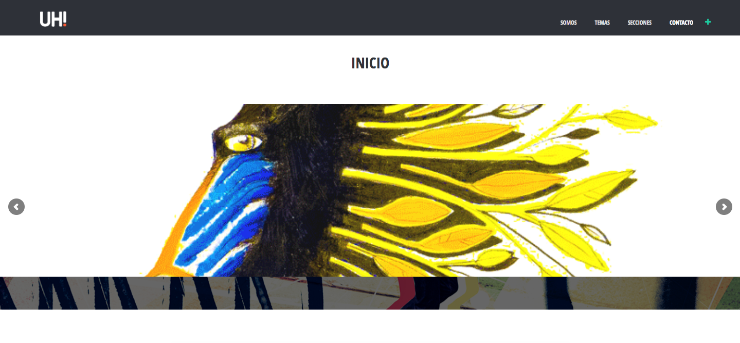 unionheterogenea client screenshot example